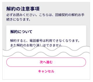 楽天モバイル解約の注意事項