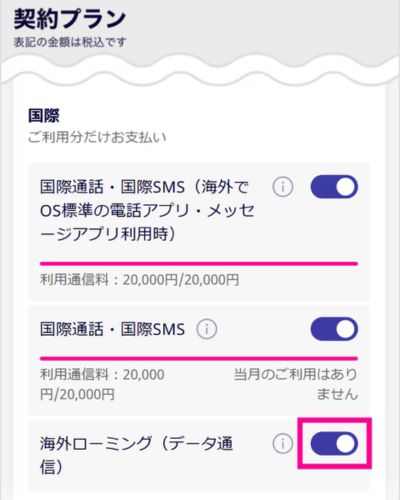 海外ローミング設定画面